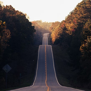 Владимирская область оказалась в числе 20 аутсайдеров в рейтинге качества дорог