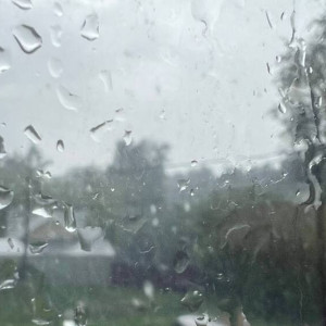 Во Владимирской области выпало 50% осадков от нормы