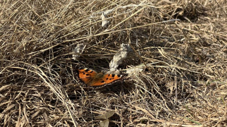 Прогноз погоды во Владимирской области на 21 марта 2026 года