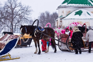 Китайская туристка покалечилась при катании на лошади во Владимирской области 