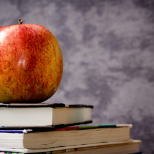 Шесть учителей владимирских школ получили по миллиону рублей