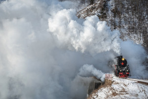 Поезд Деда Мороза не заедет во Владимирскую область