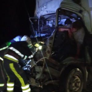 Во Владимирской области грузовик влетел в дерево