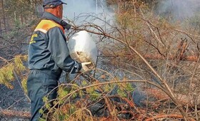 Лесной пожар у деревни Высоково в Камешковском районе тушат третьи сутки