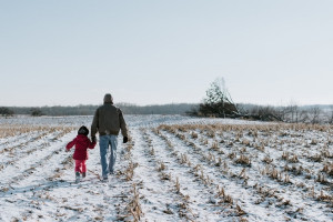 Ковровских чиновников через суд заставили дать землю 6 многодетным 