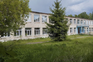 В Муромском районе на продажу за 25 млн рублей выставили бывшую школу