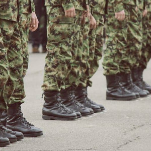 Шойгу назвал число мобилизованных в России