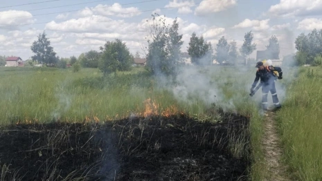 Во Владимире пожар уничтожил 200 кв. м. травы