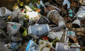 В Камешково подрядчик по оборудованию контейнерных площадок кинул чиновников на 1,6 млн рублей