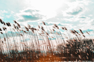 Прогноз погоды во Владимире и области на 19 апреля