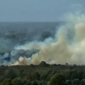 В Сети появилось видео лесного пожара под Вязниками