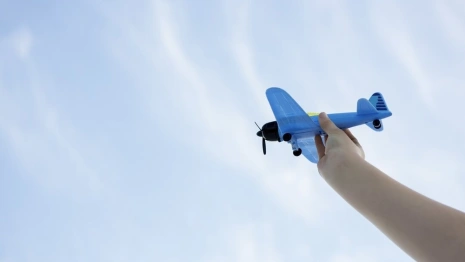 У продавца игрушечных самолетов из Гусь-Хрустального отсудили 50 тыс. рублей