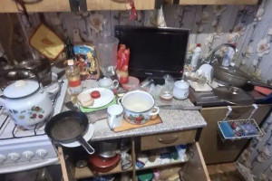 В Кольчугино 8-летняя девочка жила в свинарнике с матерью-алкоголичкой