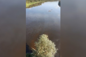 Жители Владимира обеспокоились странными пятнами в Клязьме