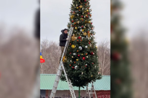 В Суздале украсили первую елку к Новому году