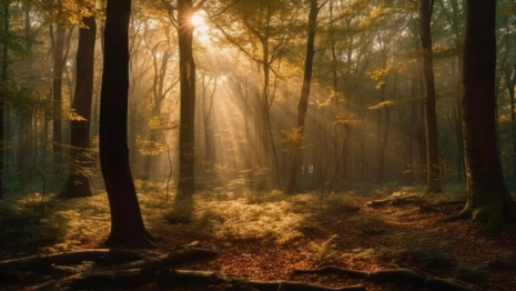 Ерофеев день: что можно и нельзя делать 17 октября