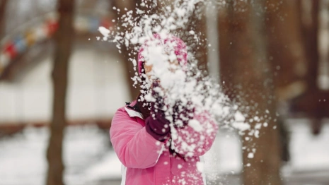 Во Владимирской области прошедшая зима стала самой снежной