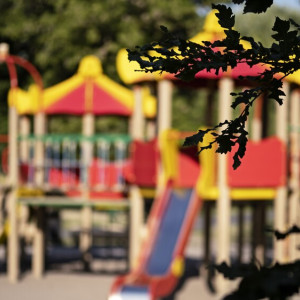 Жители сел и деревень Владимирской области собрали более 1,5 млн рублей на благоустройство