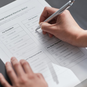 Жители Владимирской области сочли выборы губернатора формальностью