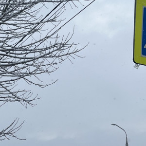 Ночью во Владимире насмерть сбили 18-летнюю девушку