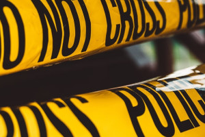 На дачном участке под Владимиром нашли мину без взрывателя