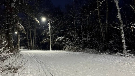 Прогноз погоды на 3 марта 2025 года во Владимирской области