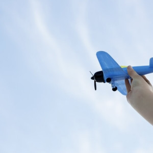 У продавца игрушечных самолетов из Гусь-Хрустального отсудили 50 тыс. рублей