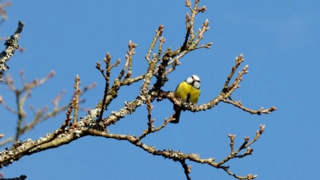 Синоптики дали прогноз на февраль во Владимирской области