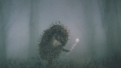 Во Владимирской области стартовал фестиваль мультфильмов