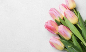 Владимирцев предупредили о схемах мошенников в преддверии 8 марта