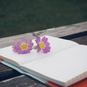 Владимирские дворы благоустроят на 1,5 млрд рублей