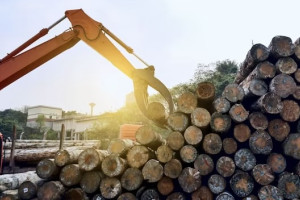 Во Владимирской области рабочий погиб под выпавшим из трактора бревном