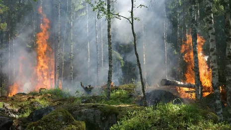 Пожароопасный сезон во Владимирской области начнется 14 апреля