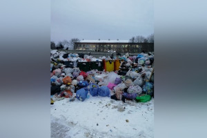Жители Владимирской области пожаловались на заваленные мусором дворы