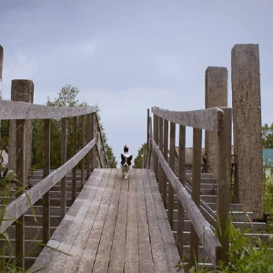 Жители Владимирской области собрали на благоустройство 13 млн рублей