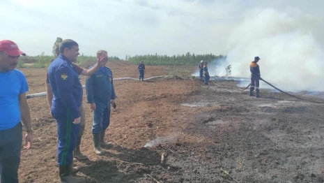 Во Владимирской области ввели тотальный запрет на посещение лесов