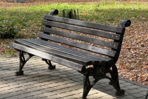 Жители Владимирской области собрали 35 млн рублей на благоустройство