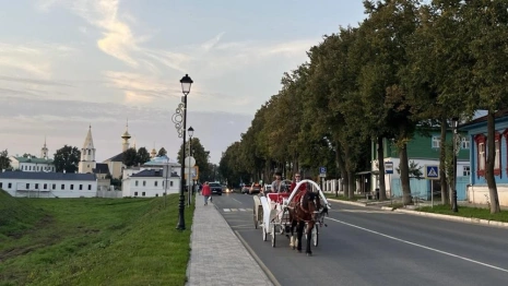 В Суздале гужевым повозкам запретили парковаться у детских учреждений и Успенского храма