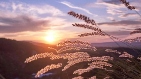 Прогноз погоды во Владимирской области на 18 августа