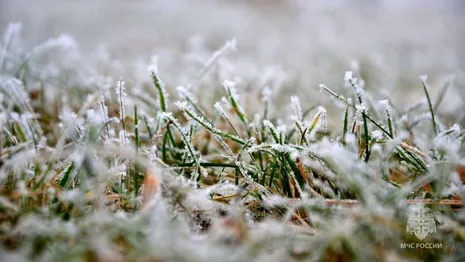 Жителей Владимирской области предупредили о заморозках до -6 градусов