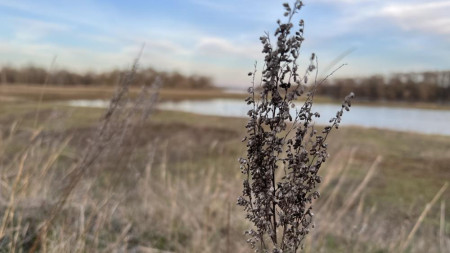 Прогноз погоды во Владимирской области на 25 марта 2026 года