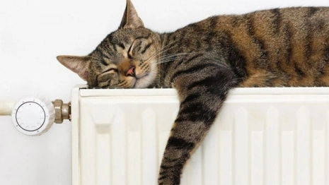 Мэрия рассказала, когда отключат отопление во Владимире