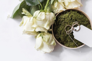 Самым пожилым женихом в феврале 2025 года во Владимирской области стал 82-летний дедушка