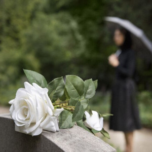 Власти согласовали безвозмездную передачу участка под скандально известное кладбище в Соколе