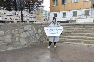 Активисты с плакатами «А Наумов выйдет?» собрались у мэрии Владимира