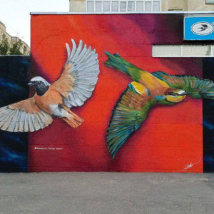 Краснокнижные птицы украсили стену во Владимире