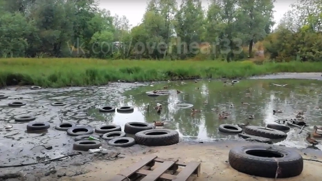 Пруд рядом со школой во Владимире превратился в кладбище покрышек
