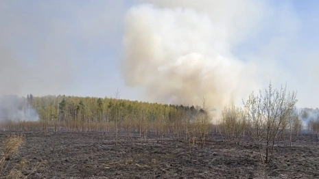 В Камешковском районе вечером загорелась сухая трава