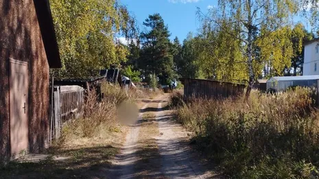 Бомжа арестовали за убийство мужчины в Киржаче