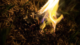 Во Владимирской области с 15 апреля начнется пожароопасный сезон